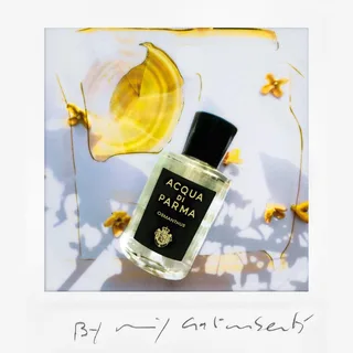 Osmanthus Eau de Parfum von Acqua di Parma in 100 ml – Produktfoto 4 von 5