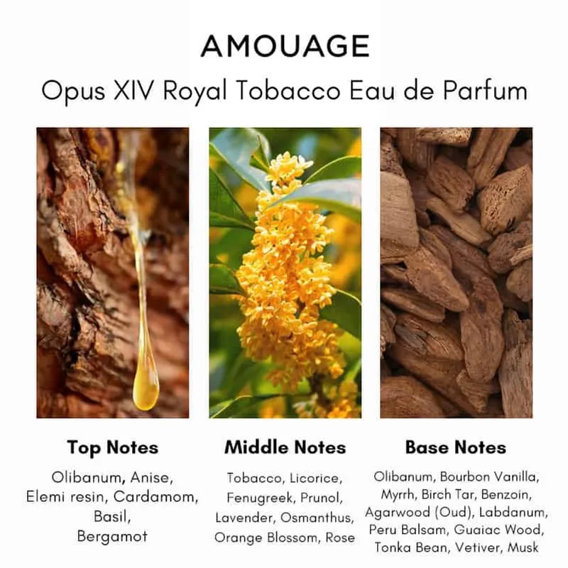 Opus XIV Royal Tobacco Eau de Parfum von Amouage in 100 ml – Produktfoto