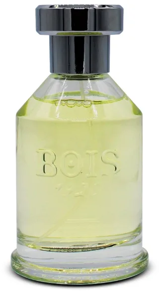 Parana by Bois 1920 - Eau De Parfum Spray von Bois 1920 in 100 ml – Produktfoto 1 von 2