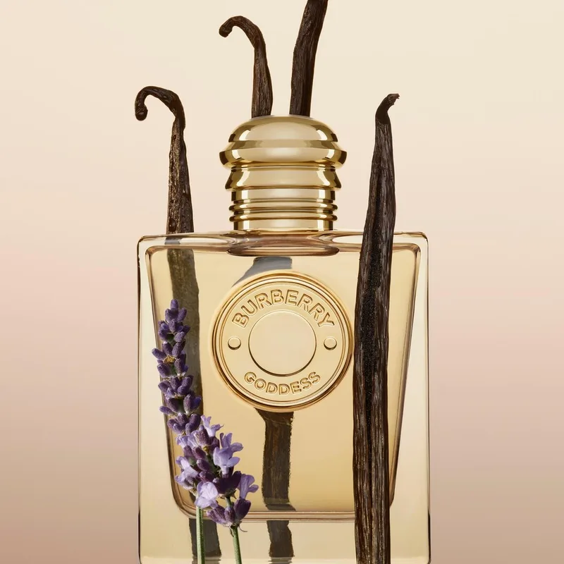 Goddess Eau de Parfum - Damesparfum von Burberry in 50 ml – Produktfoto 5 von 5