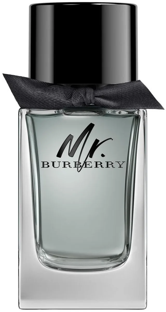 Mr Burberry - eau de toilette spray - herenparfum fra Burberry i 100 ml – produktbillede 1 af 5