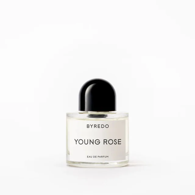 YOUNG ROSE