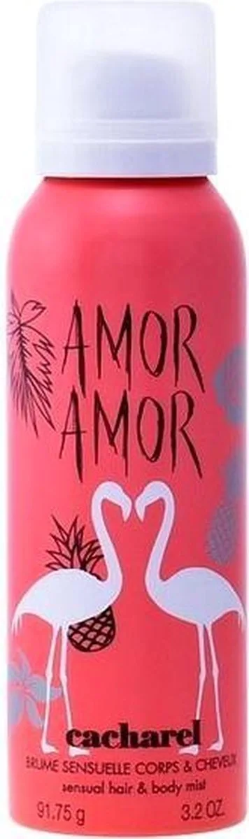 Amor Amor