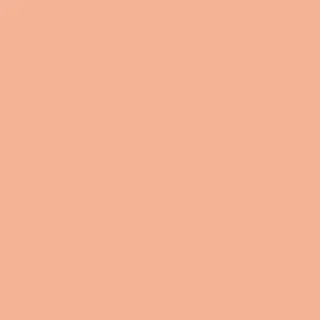 Lip Perfector Glow | 22 - Peach Glow | Lipgloss 12 ml fra Clarins i 22 peach glow – produktbillede 3 af 4