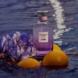 Dreams Moonlight Eau de parfum spray fra Coach i 90 ml – produktbillede 3 af 4