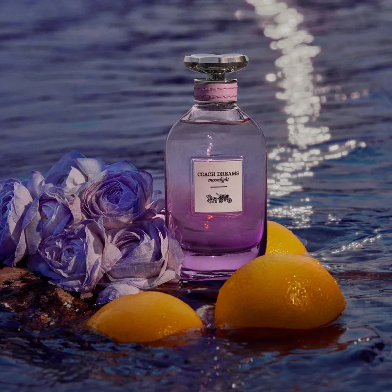 Dreams Moonlight Eau de parfum spray fra Coach i 90 ml – produktbillede 3 af 4