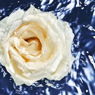 Cool Water Oceanic Edition Edt W de Davidoff en 100 ml – photo du produit 2 sur 4