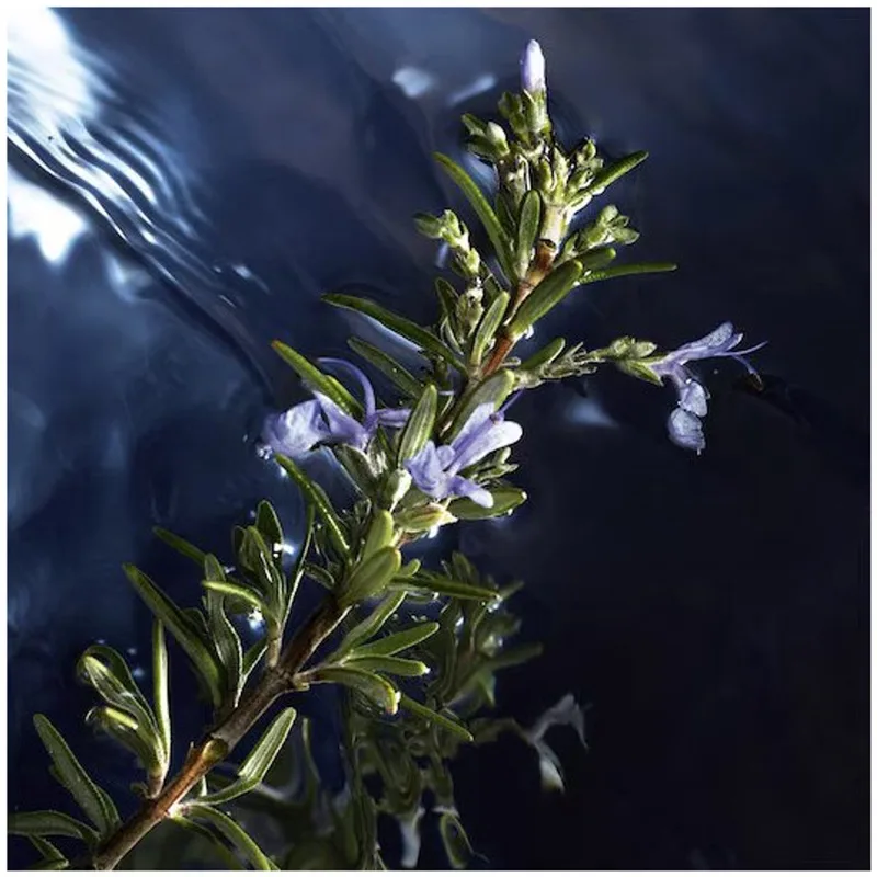 Cool Water Reborn - Eau De Toilette - Herengeur fra Davidoff i 125 ml – produktbillede 1 af 3