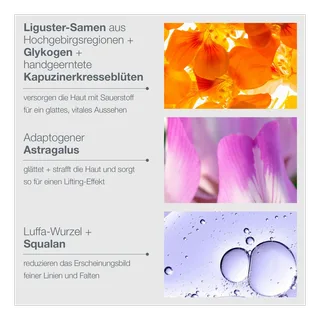 Phyto Nature Oxygen Cream von Dermalogica – Produktfoto 4 von 4