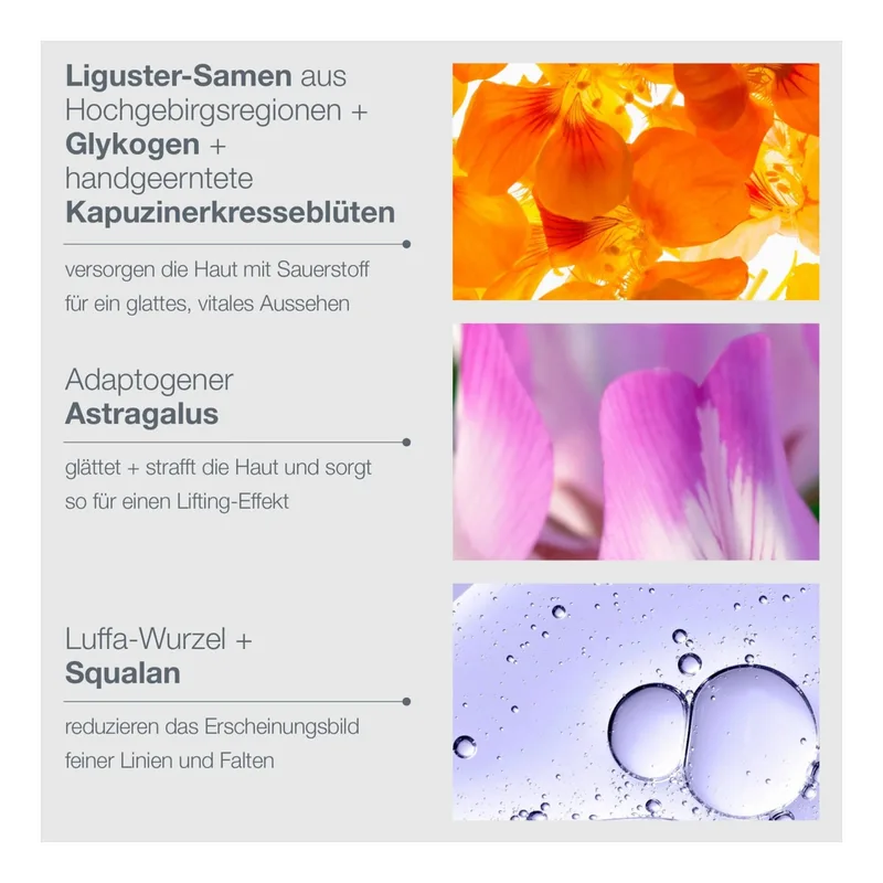 Phyto Nature Oxygen Cream von Dermalogica – Produktfoto 4 von 4