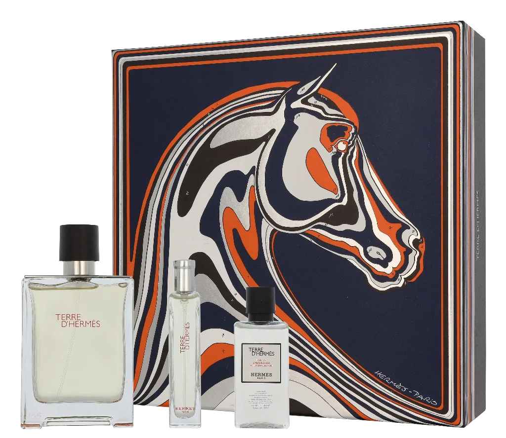 Hermes Terre D'Hermes Giftset Eau de Toilette 155 ml Heren de Hermès – photo du produit