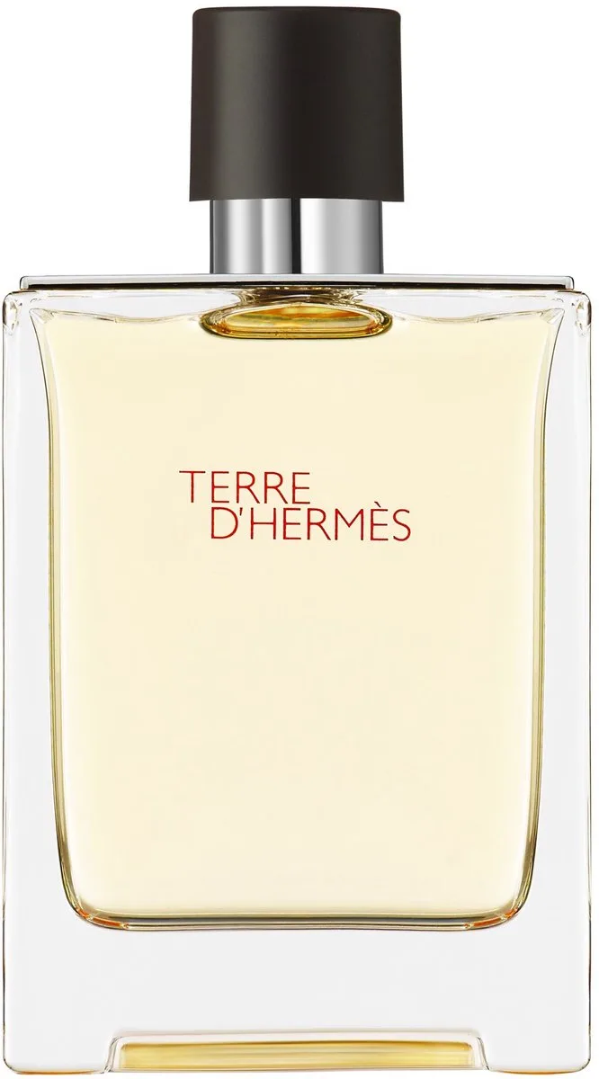 Terre d'Hermès Eau de Toilette - Herenparfum von Hermès in 100 ml – Produktfoto