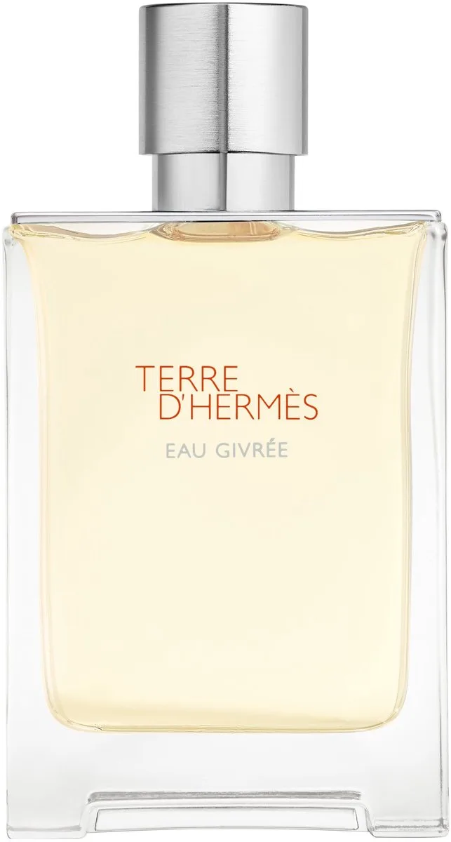 Terre d'Hermès Eau Givrée - Herenparfum eau de parfum von Hermès in 100 ml – Produktfoto