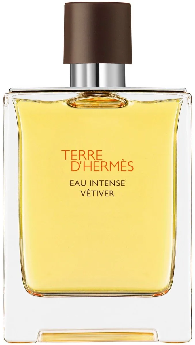 Terre d'Hermès Eau Intense Vétiver - Eau de Parfum - Herenparfum van Hermès in 100 ml – productfoto