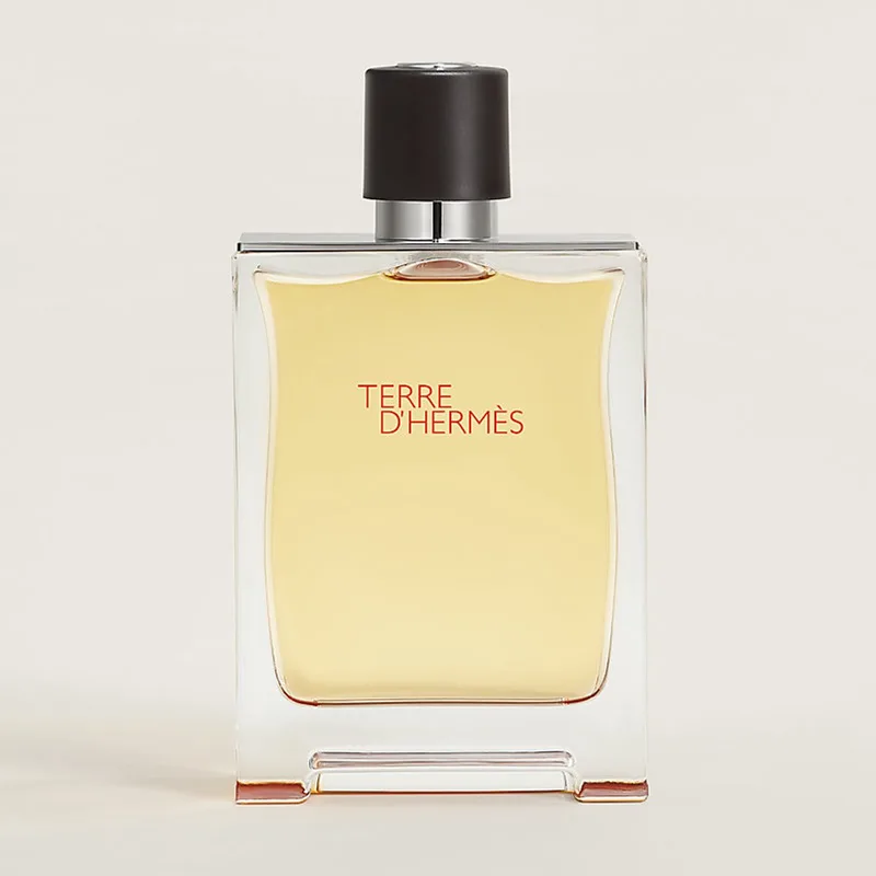 Terre d’Hermès Flacon H Limited Edition Eau de Toilette von Hermès in 100 ml – Produktfoto