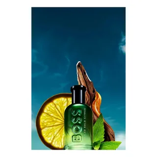 BOTTLED BOLD CITRUS EAU DE PARFUM von Hugo Boss in 50 ml – Produktfoto 4 von 5