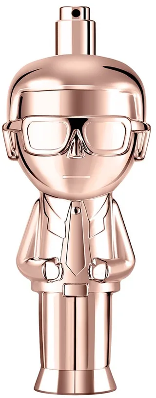 Ikonik Woman Eau de Parfum fra Karl Lagerfeld i 100 ml – produktbillede 1 af 3