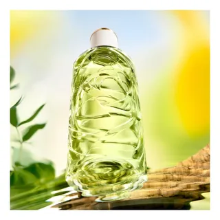 Ôff Now Eau de Toilette - Parfum voor dames - Citrusachtige & Houtachtige Damesparfum by Lancôme in 100 ml – product photo 5 of 5