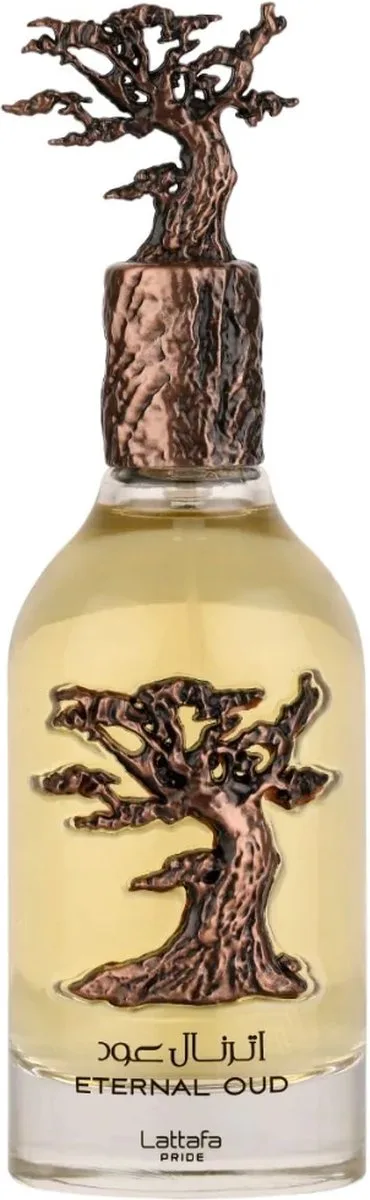 External Oud 100 ml - Eau de Parfum - 100ml von Lattafa in 100 ml – Produktfoto
