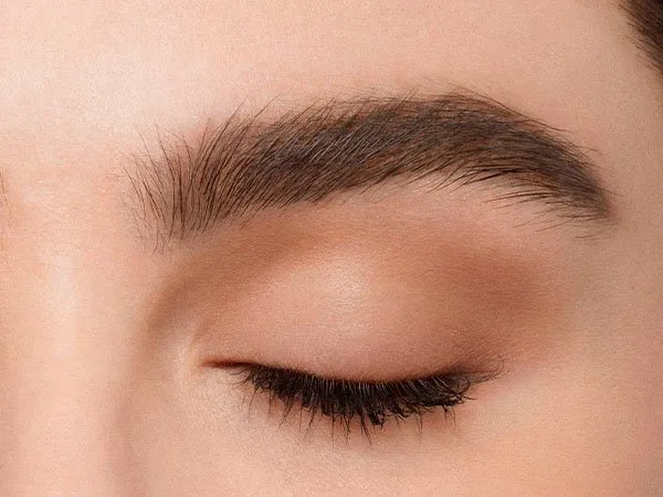 Infaillible Brows 12H Brow Definer Wenkbrauwpotlood fra L'Oréal Paris i Brun, 1 st – produktbillede 3 af 4