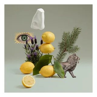 Blenheim Bouquet Edt Spray fra Penhaligon's – produktbillede 4 af 5