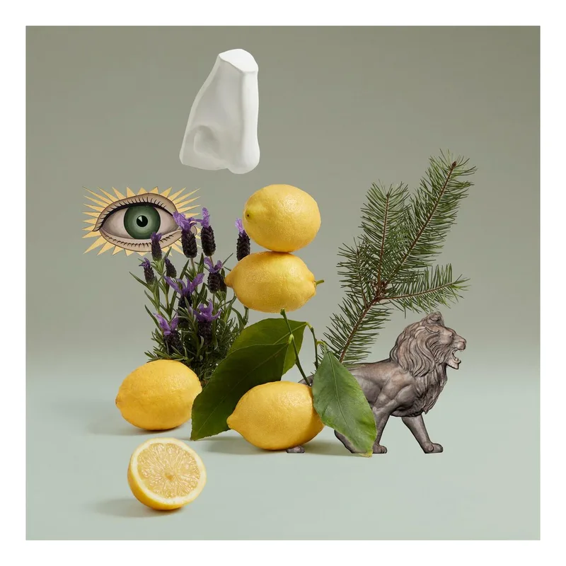 Blenheim Bouquet Edt Spray fra Penhaligon's – produktbillede 4 af 5