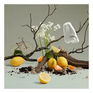 Damesparfum Penhaligon's Quercus EDC von Penhaligon's in 100 ml – Produktfoto 4 von 5