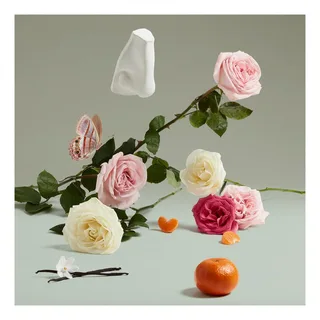 The Coveted Duchess Rose - Eau de parfum spray by Penhaligon's – product photo 4 of 5