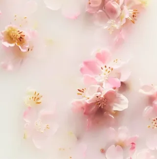 Körperschaum Sakura Body Lotion Mousse de Rituals en 150 ml – photo du produit 2 sur 5