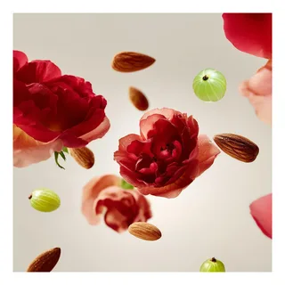 The Ritual of Ayurveda Body Lotion Mousse van Rituals – productfoto 1 van 5