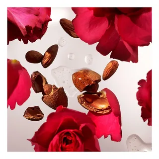 The Ritual of Ayurveda Mini Shower Foam von Rituals – Produktfoto 4 von 4