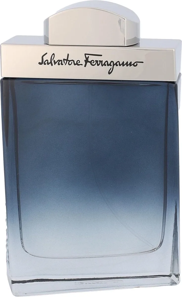 Herenparfum Salvatore Ferragamo EDT Subtil Pour Homme von Salvatore Ferragamo in 100 ml – Produktfoto