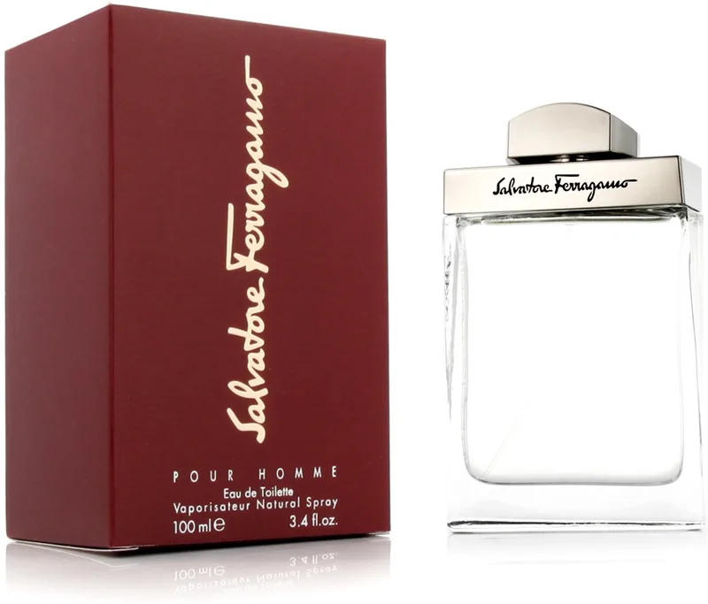 pour homme - eau de toilette de Salvatore Ferragamo en 100 ml – photo du produit