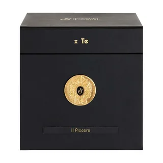 Uniseks Parfum Tiziana Terenzi Il Piacere de Tiziana Terenzi en 100 ml – photo du produit 3 sur 3