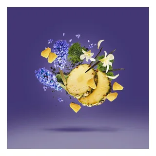 Purple Accento (U) EDP von Xerjoff in 100 ml – Produktfoto 3 von 4